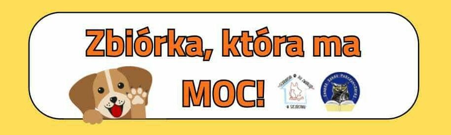 Pomagamy czworonożnym przyjaciołom