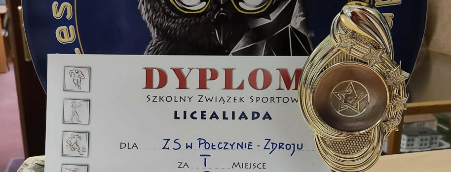 Siatkarze ponownie w finale wojewódzkim Licealiady