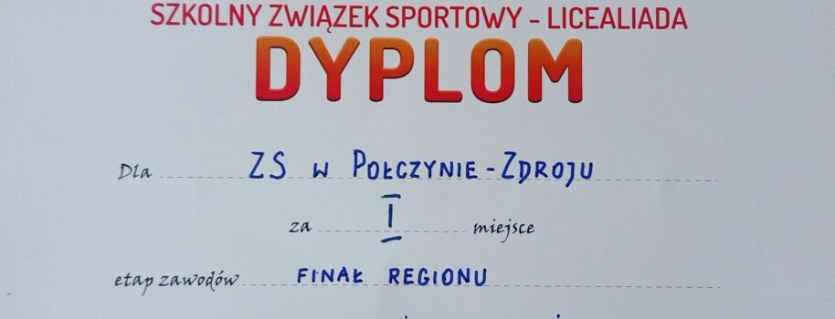 Finał regionu w piłce nożnej chłopców